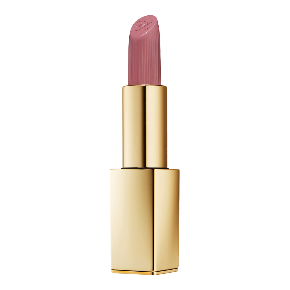 Estée Lauder Pure Color Matte Lipstick 816 Suit Up