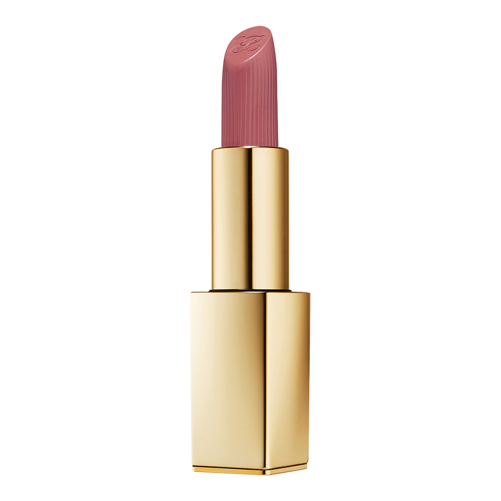 Estée Lauder Pure Color Matte Lipstick 828 In Control