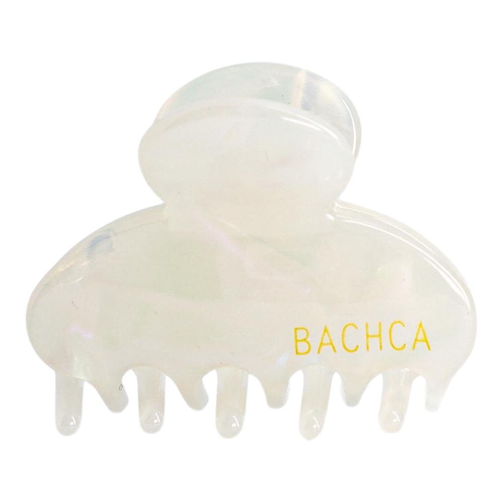 Small Seashell Clip