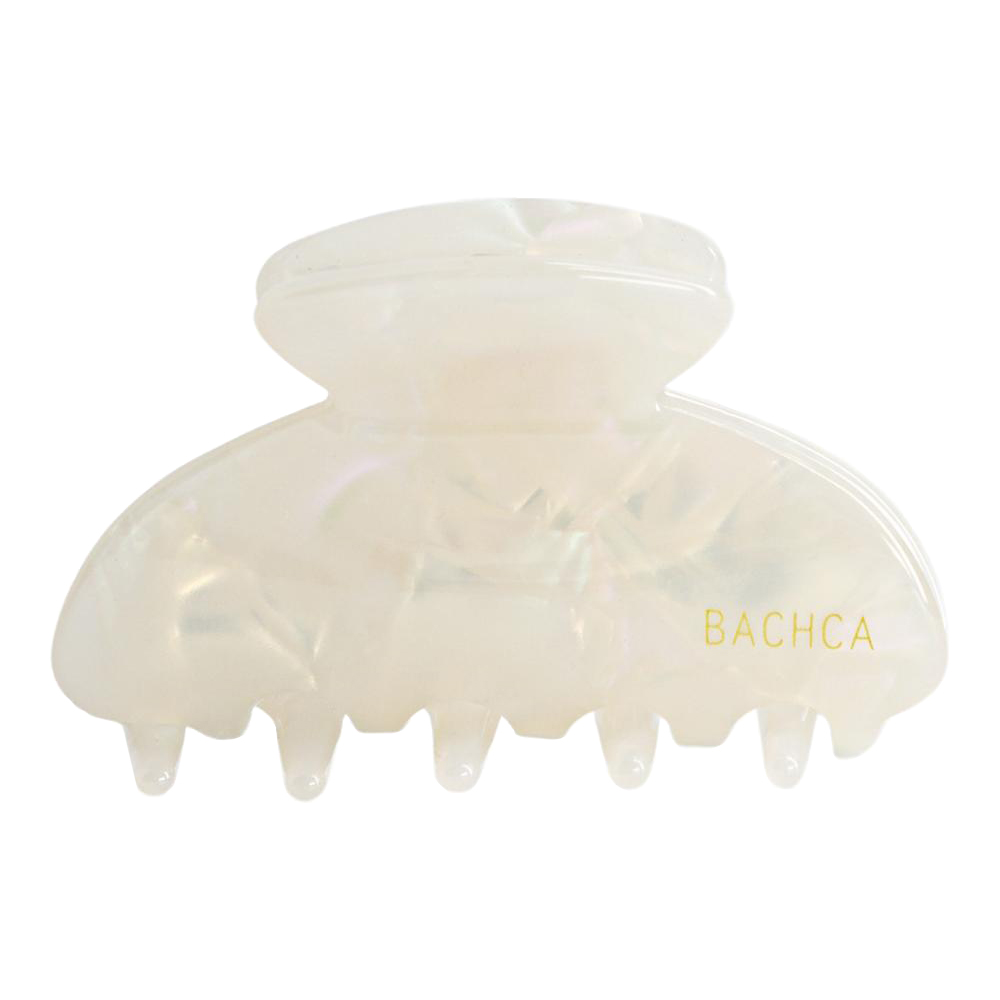 Seashell Clip