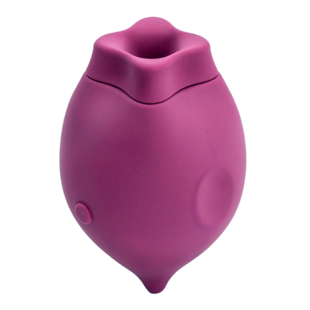 The Poet Suction Vibrator