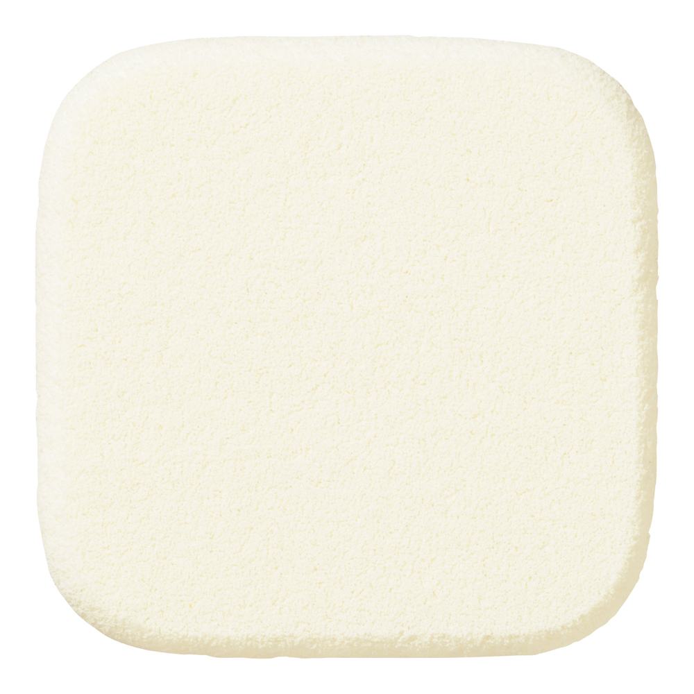 Makeup Sponge PF