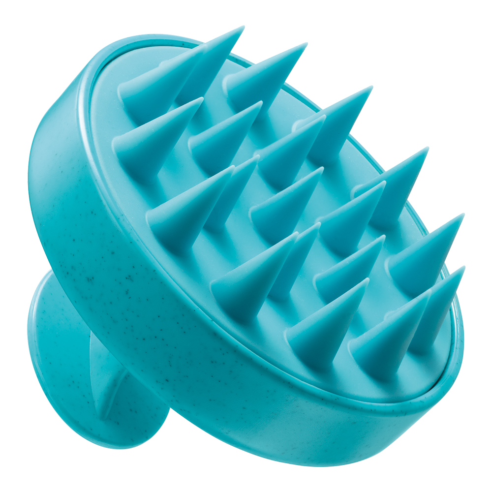 Scalp Brush