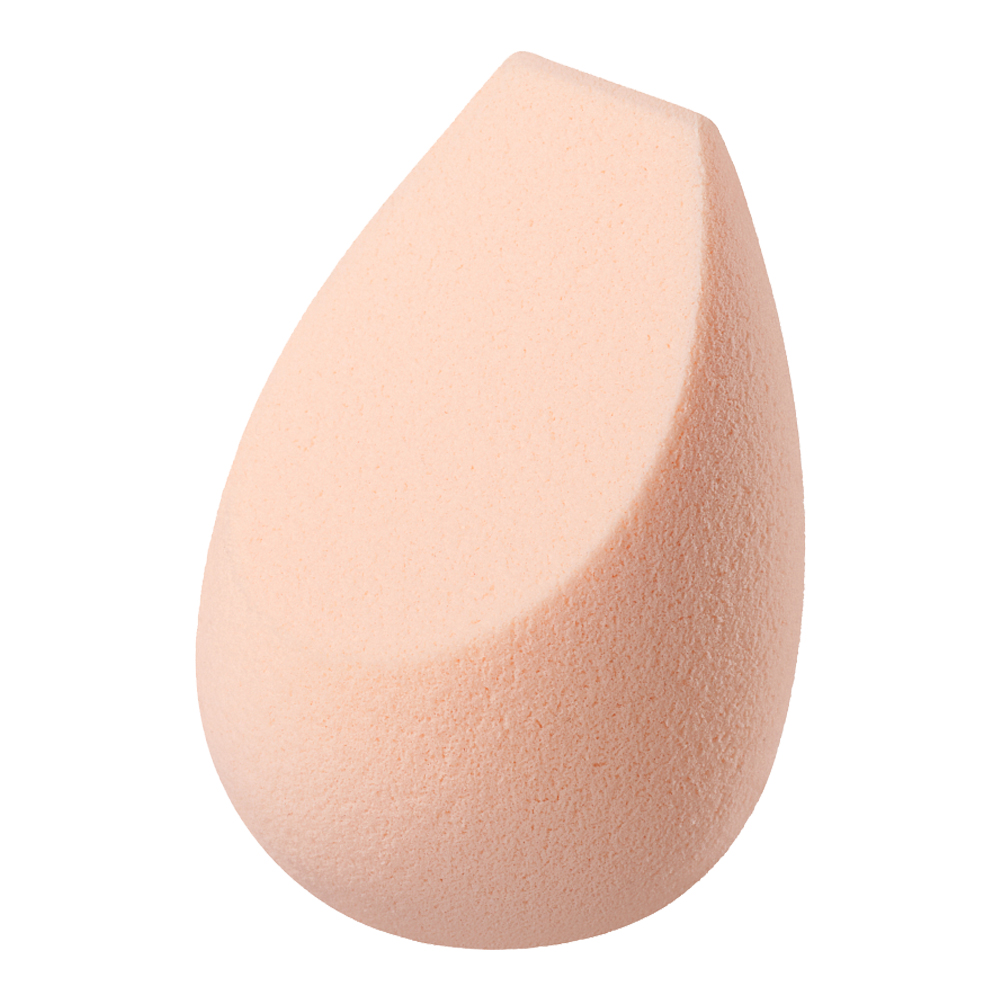 The Sponge