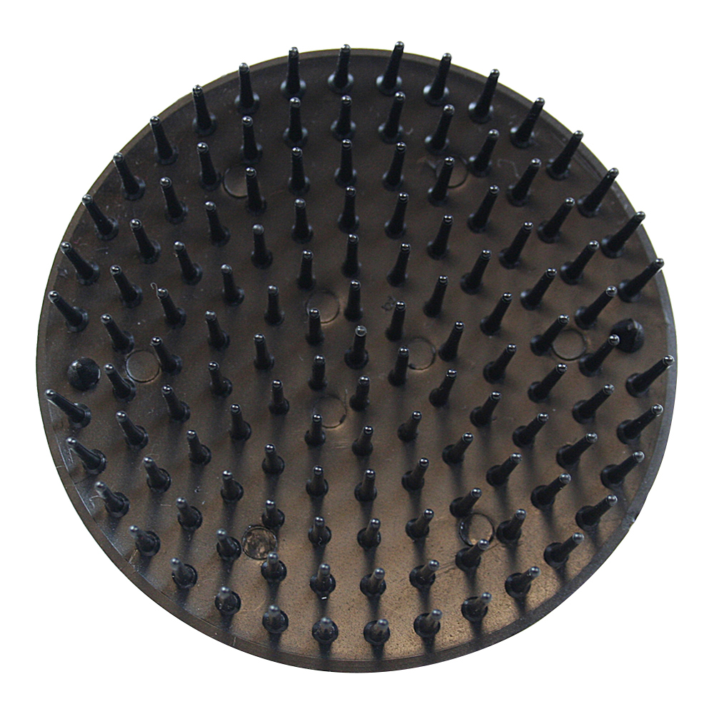 D6 Be Bop Scalp Brush