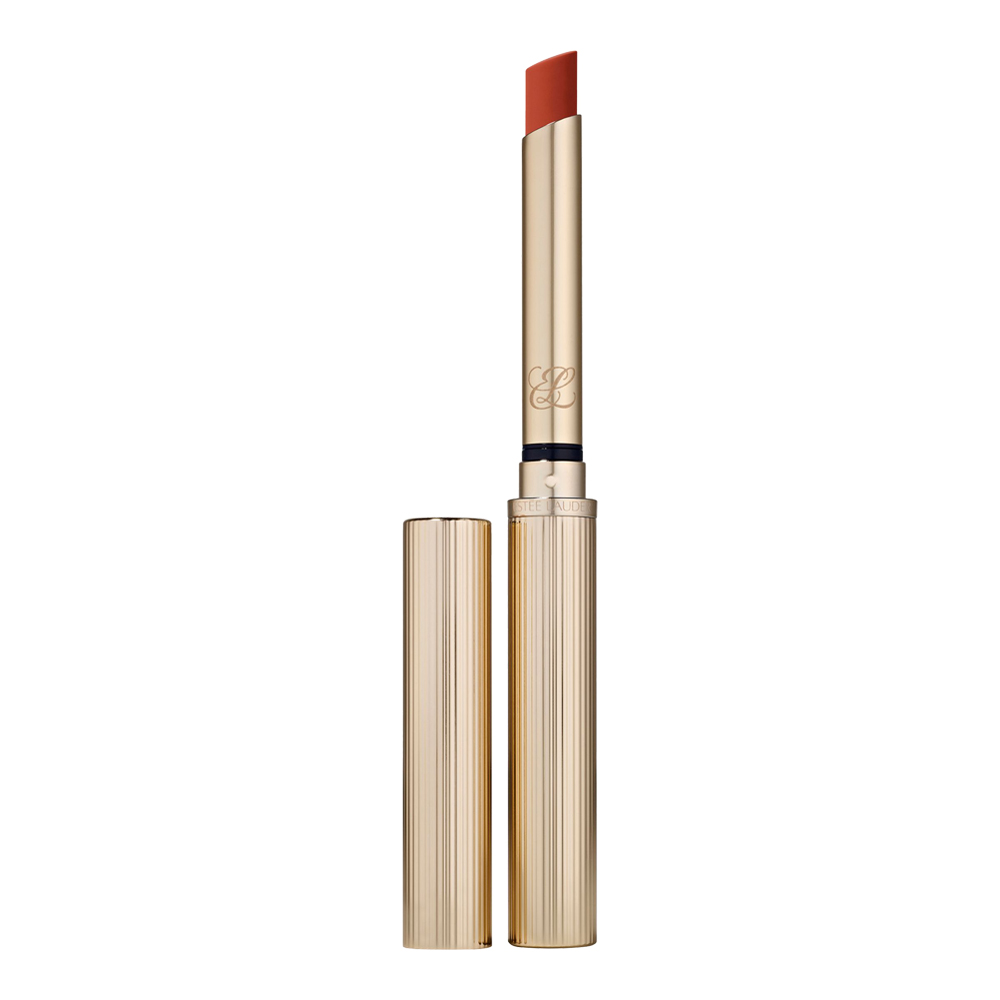 Pure Color Explicit Silk Matte Lipstick