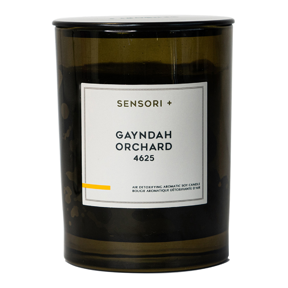 Air Detoxifying Aromatic Soy Candle Gayndah Orchard 4625